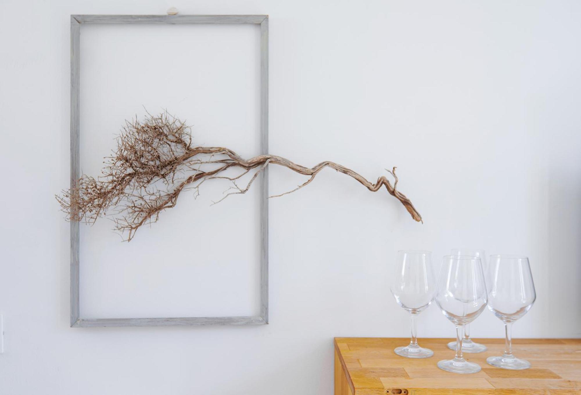 Giardino Dell'Impossibile Di Antonino Campo Appartement Favignana Buitenkant foto